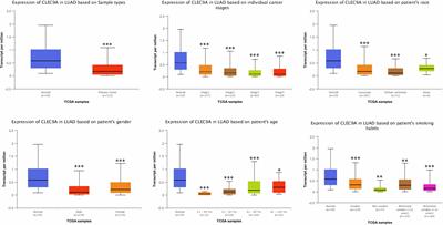 Downregulated Expression of CLEC9A as Novel Biomarkers for Lung Adenocarcinoma